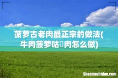 牛肉菠萝咕咾肉怎么做 菠萝古老肉最正宗的做法