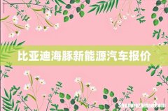 比亚迪海豚新能源汽车报价