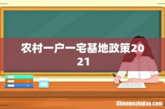 农村一户一宅基地政策2021