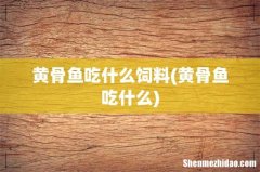 黄骨鱼吃什么 黄骨鱼吃什么饲料