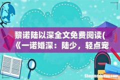 《一诺婚深：陆少，轻点宠》txt下载在线阅读全文，求百度网盘云资源 黎诺陆以深全文免费阅