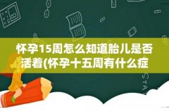 怀孕十五周有什么症状 怀孕15周怎么知道胎儿是否活着