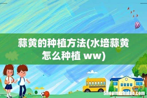 水培蒜黄怎么种植 ww 蒜黄的种植方法