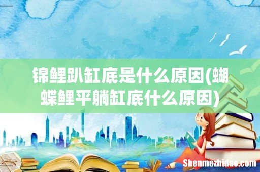 蝴蝶鲤平躺缸底什么原因 锦鲤趴缸底是什么原因