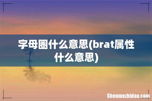 brat属性什么意思 字母圈什么意思