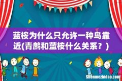 青鹧和蓝桉什么关系？ 蓝桉为什么只允许一种鸟靠近