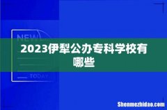 2023伊犁公办专科学校有哪些