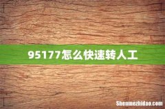 95177怎么快速转人工