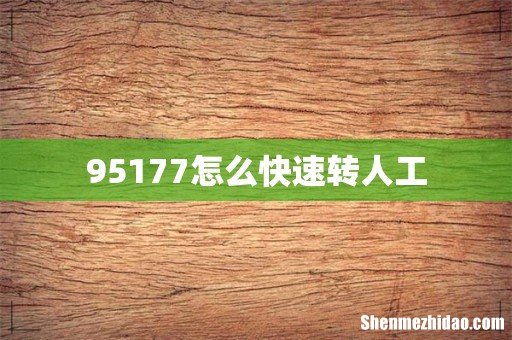 95177怎么快速转人工