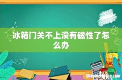冰箱门关不上没有磁性了怎么办