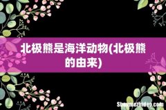 北极熊的由来 北极熊是海洋动物