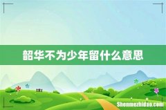 韶华不为少年留什么意思