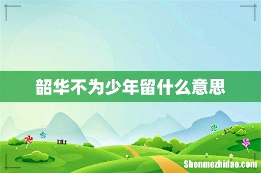 韶华不为少年留什么意思