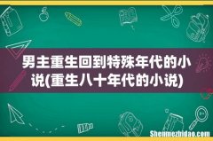 重生八十年代的小说 男主重生回到特殊年代的小说