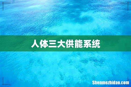人体三大供能系统