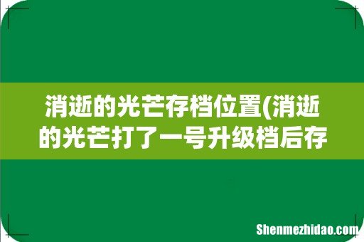 消逝的光芒打了一号升级档后存档消失怎么办 消逝的光芒存档位置