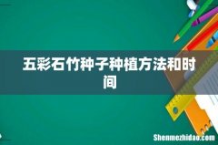 五彩石竹种子种植方法和时间