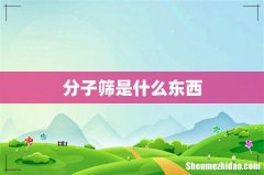 分子筛是什么东西