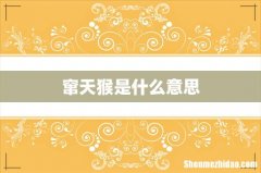 窜天猴是什么意思