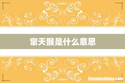 窜天猴是什么意思