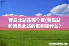 青岛站和青岛北站的区别是什么？ 青岛北站在哪个区