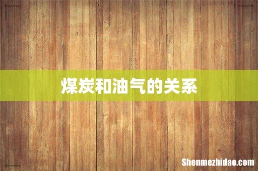 煤炭和油气的关系
