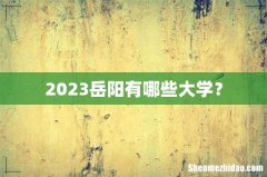 2023岳阳有哪些大学？