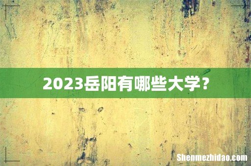 2023岳阳有哪些大学?