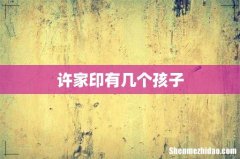 许家印有几个孩子
