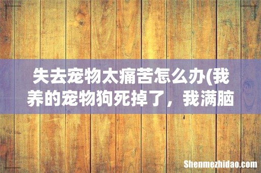 我养的宠物狗死掉了,我满脑子都是它,心里很难过,怎么办? 失去宠物太痛苦怎么办