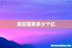 吴召国有多少个亿