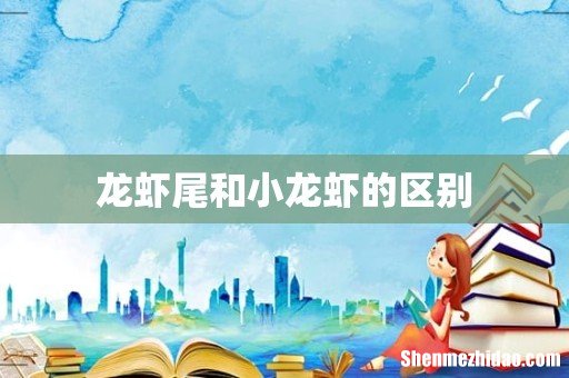 龙虾尾和小龙虾的区别