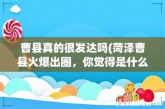 菏泽曹县火爆出圈，你觉得是什么原因？ 曹县真的很发达吗