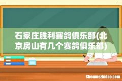 北京房山有几个赛鸽俱乐部 石家庄胜利赛鸽俱乐部