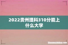 2022贵州理科310分能上什么大学