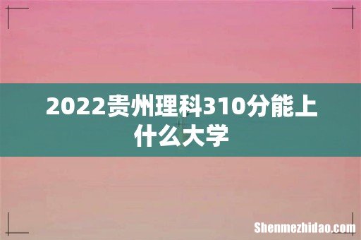 2022贵州理科310分能上什么大学