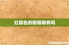 红棕色的眼睛稀有吗