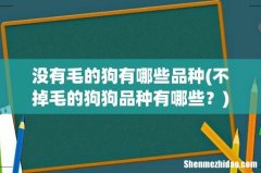 不掉毛的狗狗品种有哪些？ 没有毛的狗有哪些品种