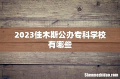 2023佳木斯公办专科学校有哪些