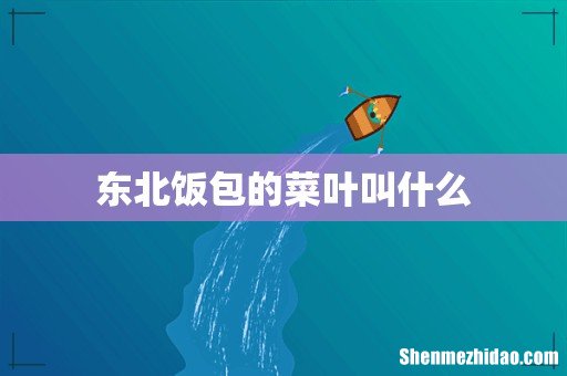 东北饭包的菜叶叫什么