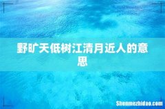 野旷天低树江清月近人的意思