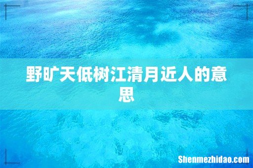 野旷天低树江清月近人的意思