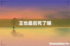 王也最后死了嘛