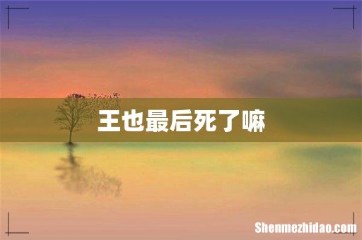 王也最后死了嘛