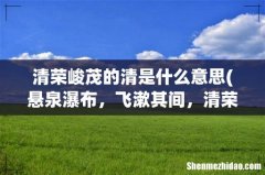 悬泉瀑布，飞漱其间，清荣茂是什么意思 清荣峻茂的清是什么意思