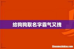 给狗狗取名字霸气又拽