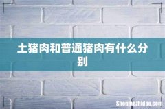 土猪肉和普通猪肉有什么分别