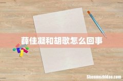 薛佳凝和胡歌怎么回事