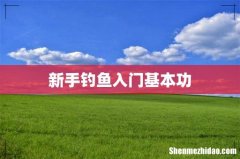 新手钓鱼入门基本功