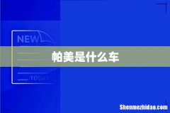 帕美是什么车